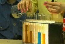 Сладкие газированные напитки