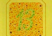 Восприятие цвета