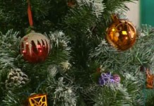 Программа "Здоровье" от 25 декабря 1998 г.