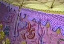 Правила ухода за кожей малыша