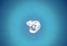 Зачатие ребенка