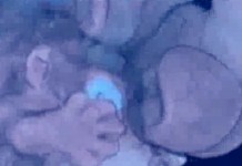 Кальций и магний