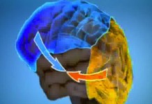 Можно ли безопасно управлять автомобилем, разговаривая по телефону?