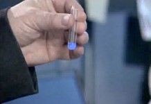 Гемокод: правда и вымысел