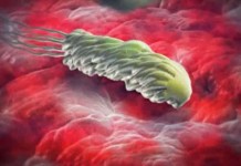 В халате врача. Гастрит