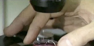 Созданы клетки сердечной мышцы