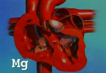 Незаменимый магний