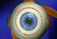 1 августа 1999