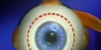 1 августа 1999