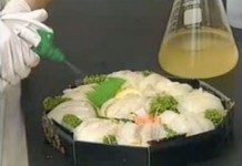 2 октября 2004