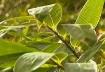 2 октября 1998