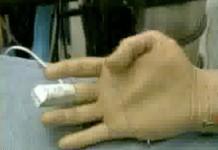 6 февраля 2000