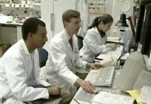 6 декабря 2003