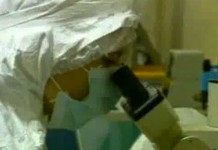 8 августа 1999