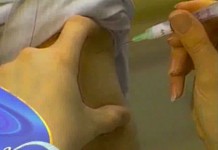 14 февраля 1998