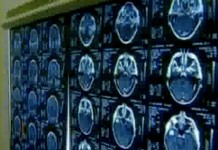 23 января 2000