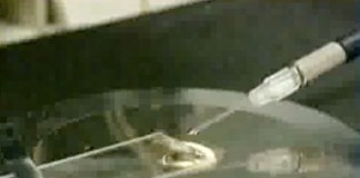 25 ноября 2000