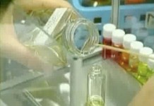 13 апреля 2002