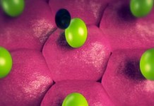 Лекарства для здоровых. Печень