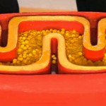 Как не стареть. Высокий уровень сахара в крови и старение