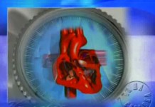 Как защитить свое сердце?