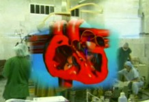 История Олега Сидоренко