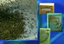 Отвар для полоскания воспаленного горла