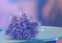 Отвар из васильков против перхоти