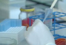 Вакцина против рака шейки матки