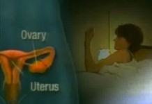 Почему женский организм настолько уязвим?