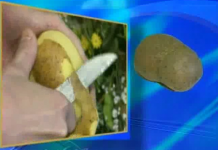 Рецепт Юрия Николаева от высокой температуры