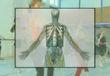 Программа «Здоровье» от 25 июня 1999 г.