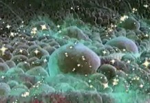 Программа "Здоровье" от 1 марта 2003 г.