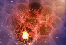 Программа "Здоровье" от 3 ноября 2007 г.