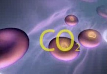 Программа "Здоровье" от 3 декабря 2005 г.