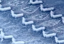 Программа "Здоровье" от 6 ноября 2004 г.