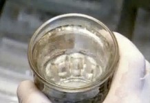 Программа "Здоровье" от 8 ноября 2002 г.