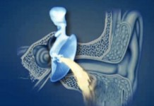 Программа "Здоровье" от 9 апреля 2005 г.