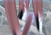 Программа "Здоровье" от 13 июня 2009 г.