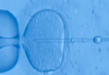 Программа "Здоровье" от 13 декабря 2008 г.