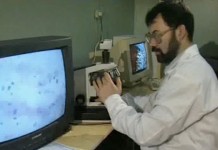 Программа "Здоровье" от 15 февраля 2002 г.