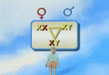 Программа "Здоровье" от 17 марта 2001 г.