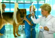 Программа "Здоровье" от 20 сентября 2008 г.