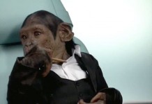 Программа "Здоровье" от 25 ноября 2006 г.