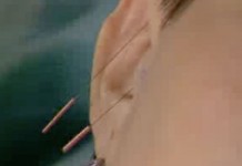 Что делать, если вы перестали худеть