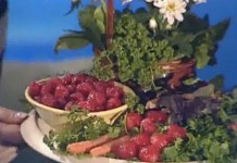 Лекарства из трав и ягод