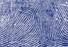 Отпечатки пальцев