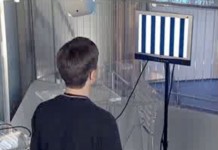 Вестибулярный аппарат