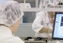 Сифилис в России