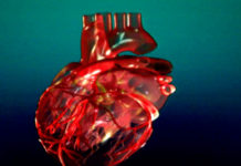 Заповеди для маминого сердца